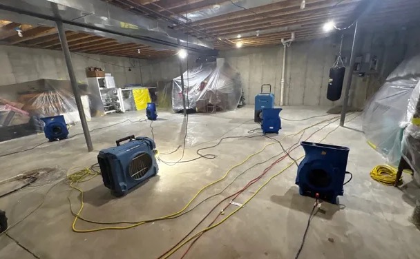 Basement Mold Cleanup in Maryvale, AZ