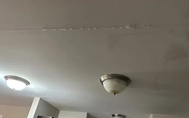 Wall Mold Removal in Laveen, AZ