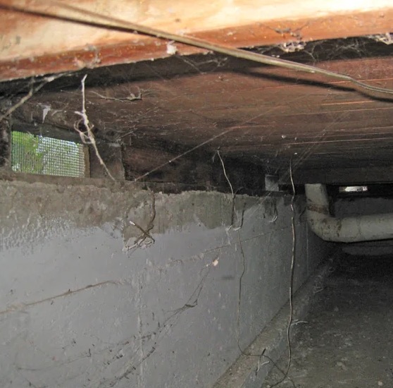 Crawlspace Water Damage Cleanup in Casa Grande, AZ