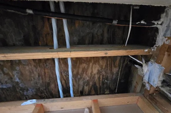 Attic Mold Removal in Moon Valley, AZ