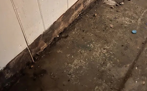 Biohazard Cleanup Services in North Phoenix, AZ