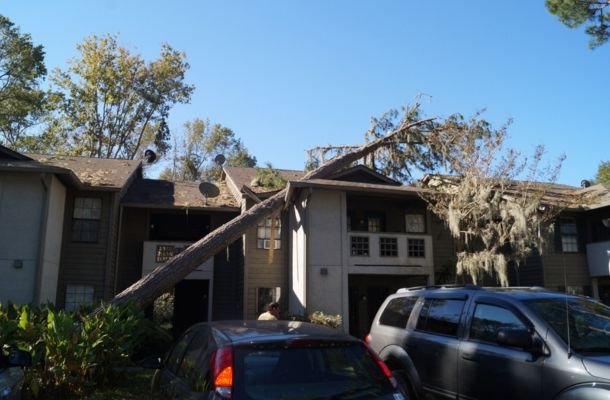 Storm Damage Restoration Scottsdale, Arizona